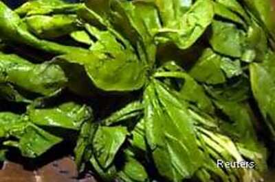 FDA says spinach safe, concerns remain