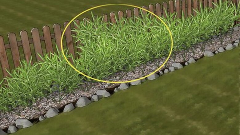 How to Take Cuttings