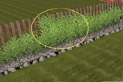 How to Take Cuttings