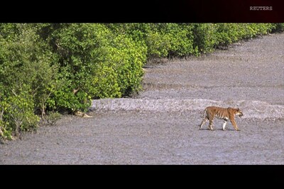 Part of Sunderbans may be lost in future