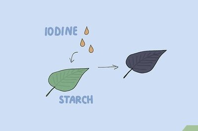 How to Prepare Iodine Solution