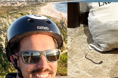 Mitchell Johnson Encounters Snake in Lucknow Hotel Room, Shares Image on Instagram