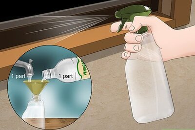 How to Keep Spiders Out of Your House