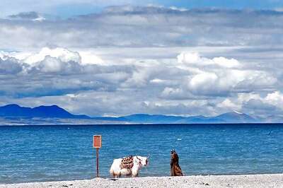 Jokhang Temple, Potala Palace and other tourist spots that capture the essence of Tibet