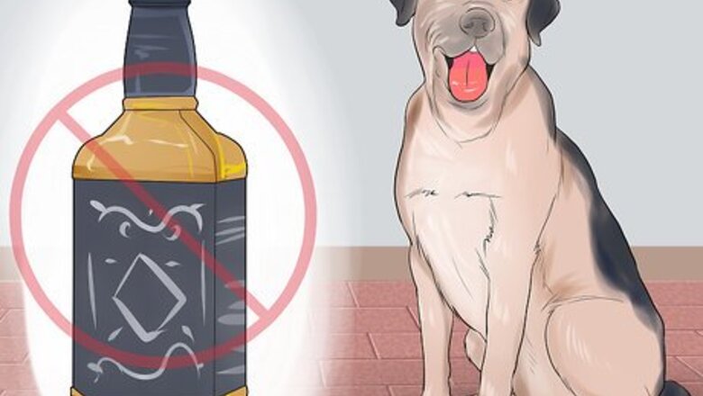 How to Avoid Foods Dangerous for Your Dog