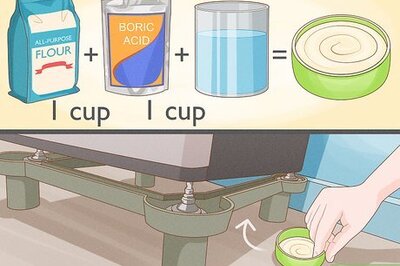 How to Kill Cockroaches or Ants Naturally