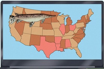 How to Fish for Alligator Gar