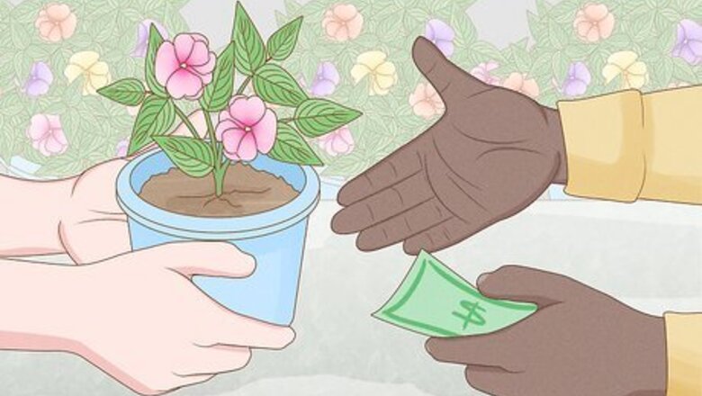 How to Grow New Guinea Impatiens Indoors
