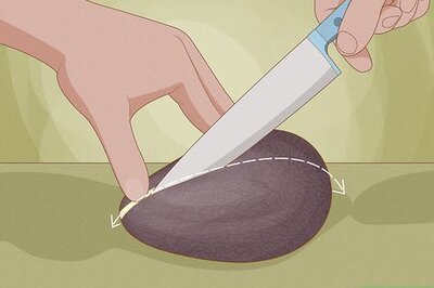 How to Grow Avocados as Houseplants
