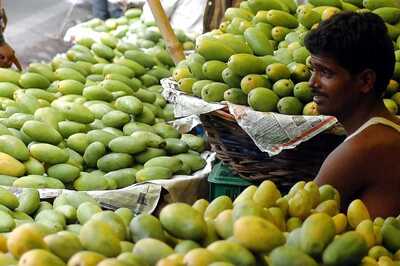 'Malihabad Ke Aam' to be Heavy on Your Pocket This Time After Unseasonal, Heavy Rain Hits Dasheri Crop