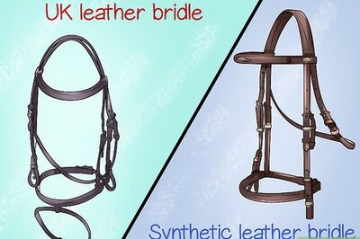 How to Choose a Bridle for Your Horse
