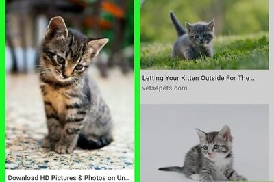 How to Download Images from Google Images