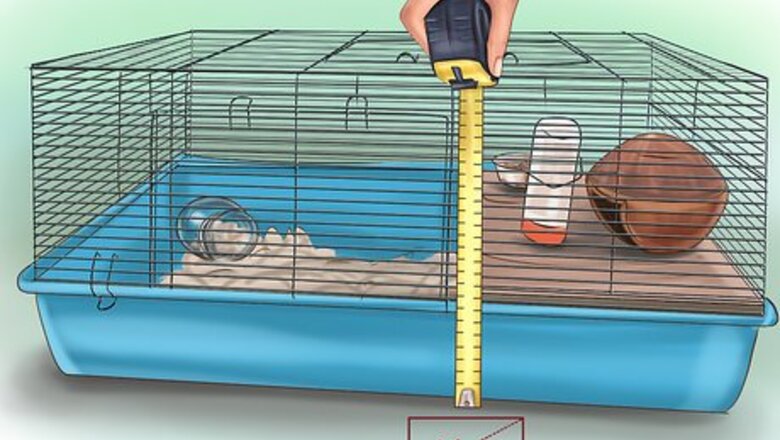 How to Set Up a Hamster Cage