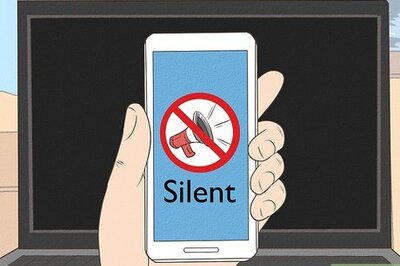 How to Turn Your Cat Into a Lap Cat