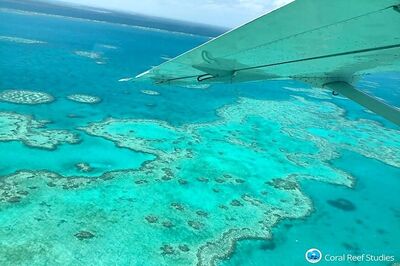 Australia's Great Barrier Reef Suffers Most Extensive Coral Bleaching