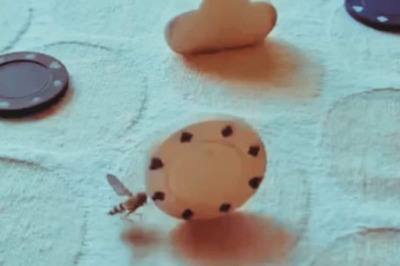 Makkhi 2.0: This Video Of Man Training Housefly Confuses Internet