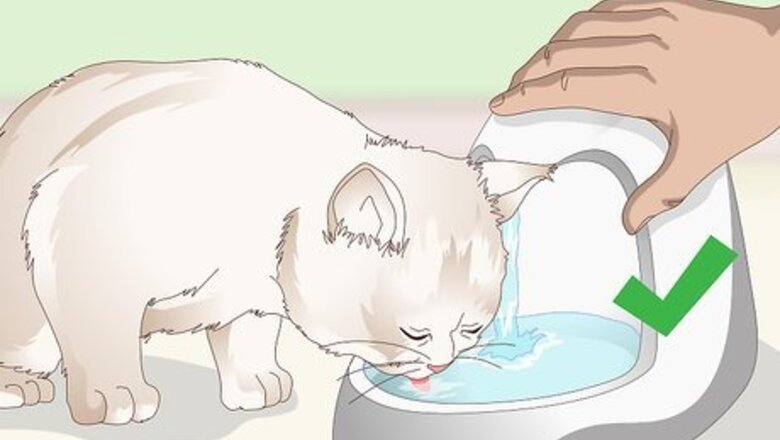 How to Prevent Stones in Cats