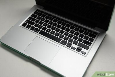 How to Choose the Right Tree Service