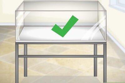 How to Set up a Marine Reef Aquarium