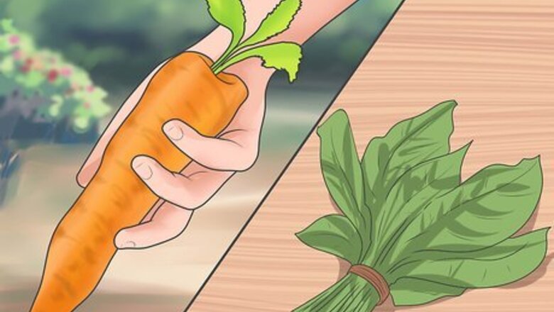How to Protect Eyesight with Diet