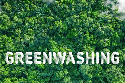 Opinion | Greenwashing Threatens the Paris Agreement: Can We Trust Corporate Climate Pledges?