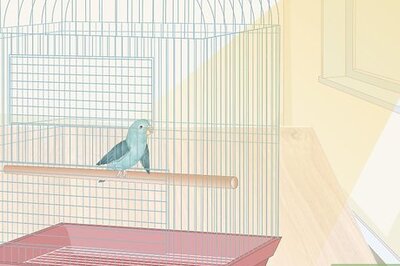 How to Introduce Two Birds to Each Other