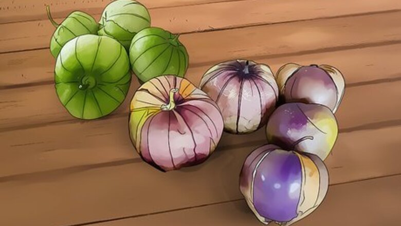 How to Grow Tomatillos