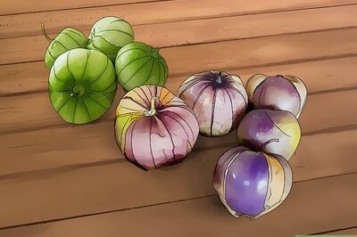 How to Grow Tomatillos