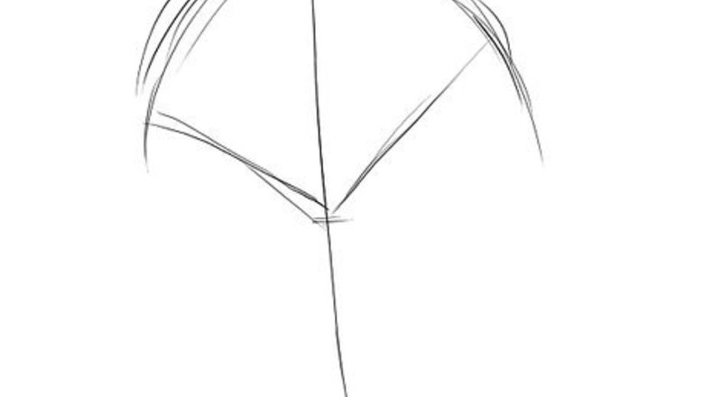 How to Draw a Gum Tree