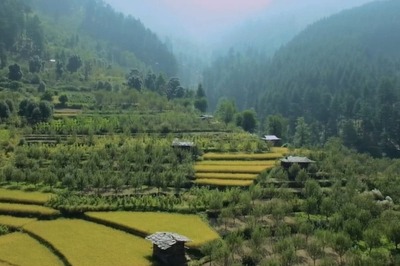 A Taste Of Mizoram: Incredible Traditional Delicacies Of The State