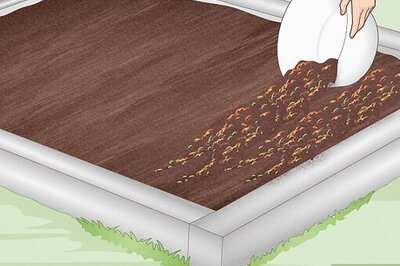 How to Make Vermicast