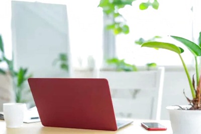 Easy Ways to Give a Greener Touch to Your Home