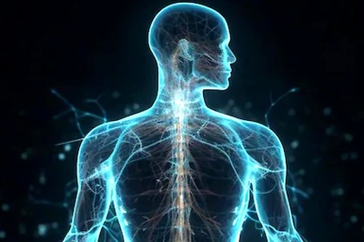 Essential Nutrients for Bone Health: Key to Preventing Osteoporosis in Women