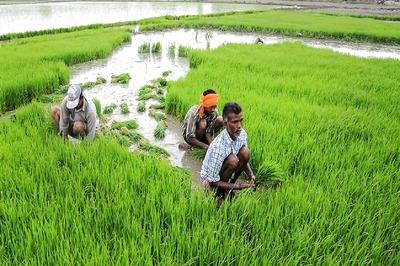 IFFCO, Prasar Bharati Sign Pact to Promote New Farm Techniques on DD Kisan Channel