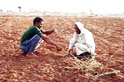 Bangalore: 10,000 areca growers to stage dharna