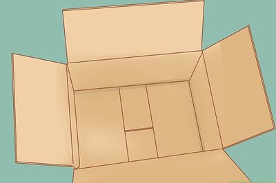 How to Take Care of Kittens