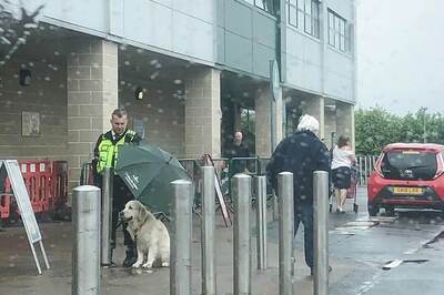 Security Man Gets Hailed as Hero for Shielding a Dog Under Umbrella in Rain