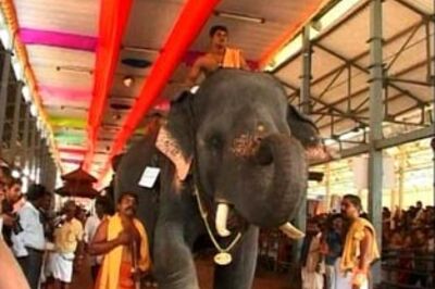 Kerala's annual tusker race draws a huge crowd again