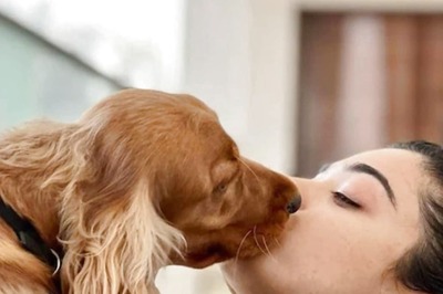 Rashmika Mandanna's Dog Can't Love Her Enough, Gives 'Welcome Home Kisses' As She Returns