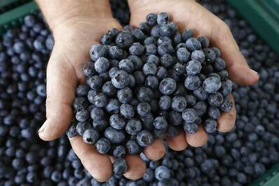 Eat Blueberries to Fight Age, Memory Loss