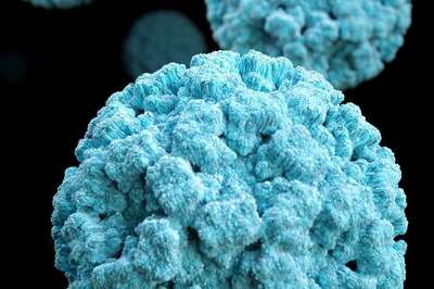 Cryptosporidiosis Outbreak Sickens Over 46 In UK, Cases Of Norovirus Also Rise