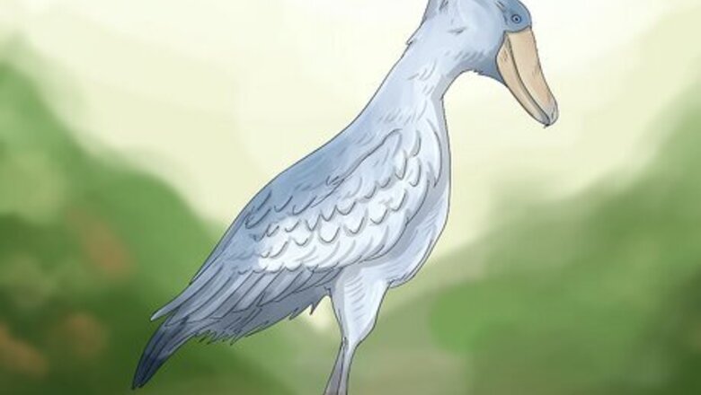 The Top 15 Scariest-Looking Bird Species
