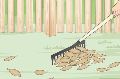 How to Keep Spiders Away