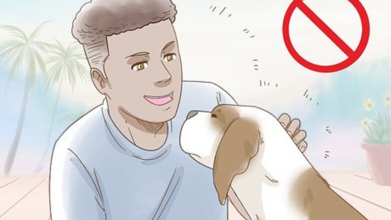 How to Reduce Anxiety in Dogs