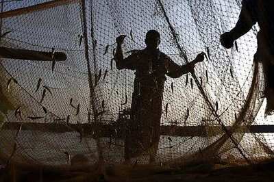 29 Tamil Nadu fishermen detained by Sri Lankan Navy