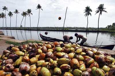 Man tied to a tree, beaten to death for stealing coconuts in Vadodara