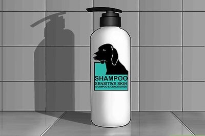 How to Bathe a Dog in a Shower
