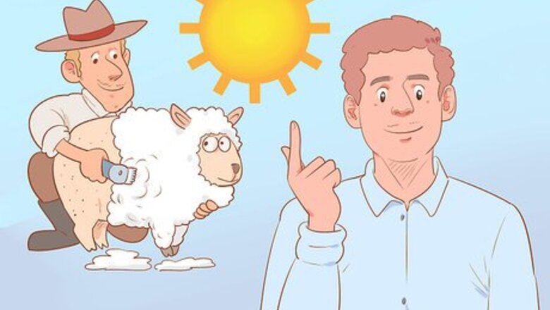How to Shear a Sheep