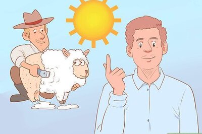 How to Shear a Sheep