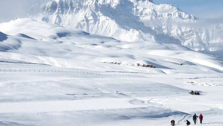 Army Buys 20 Swedish Advanced Avalanche Rescue Systems to Detect Trapped Soldiers with Precision